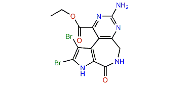 Latonduine B ethyl ester